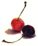 Cherries